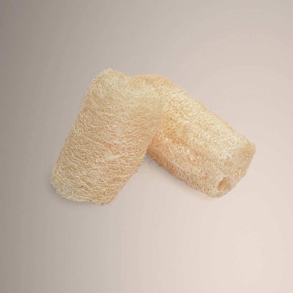 Esponja de Luffa de Alcobaça 10cm